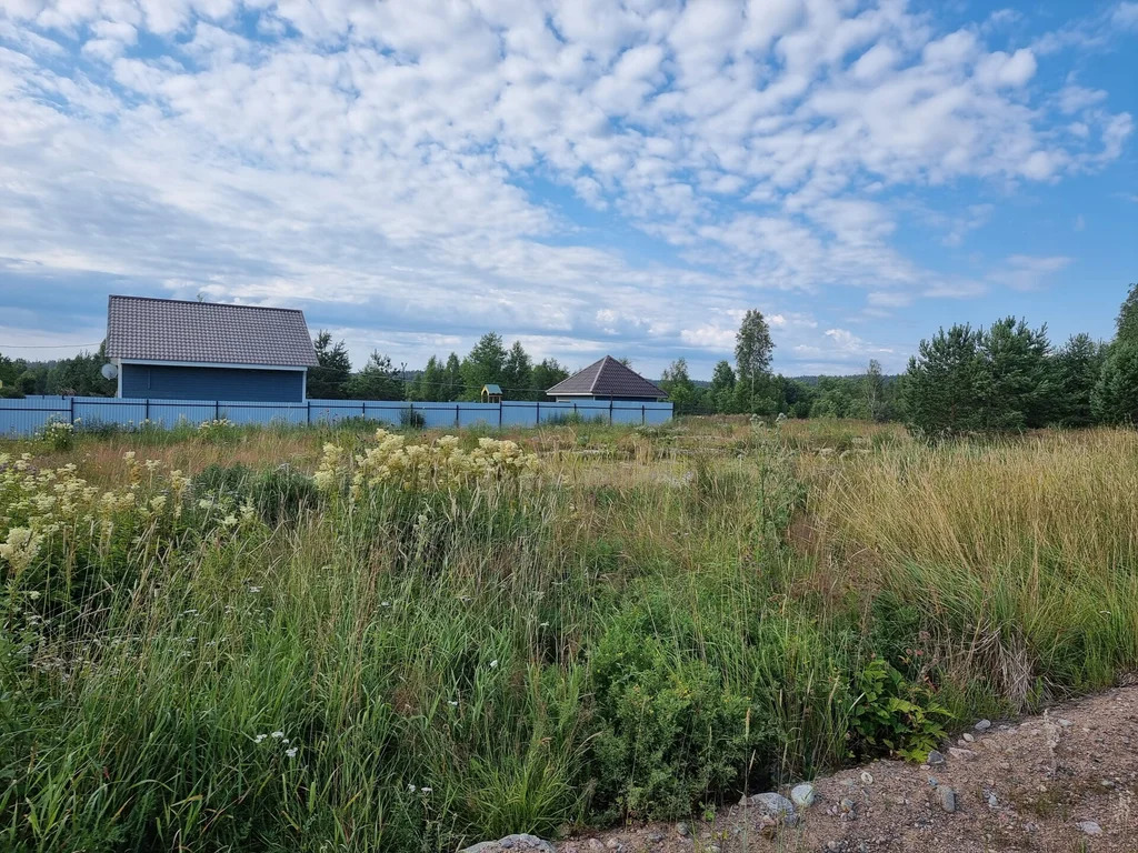 Продажа участка, Бородинское, Выборгский район - Фото 1