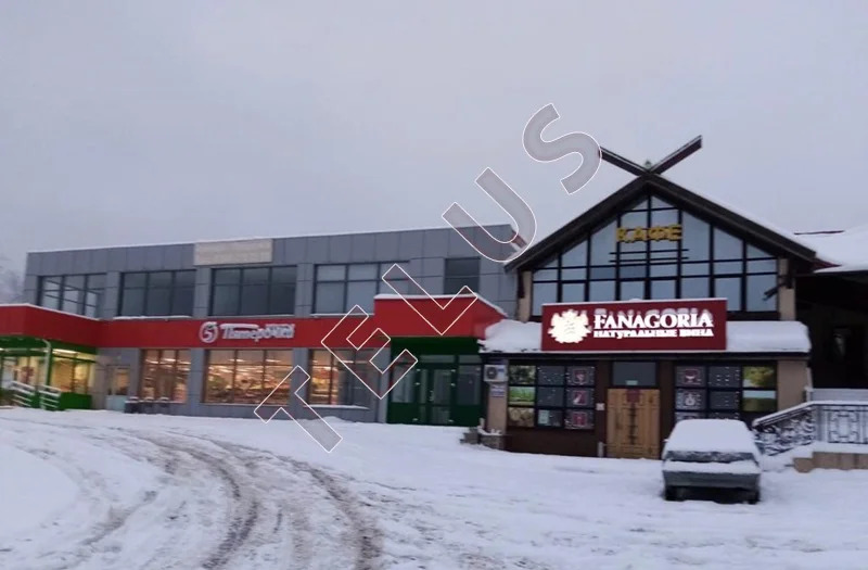 Истра гор.округ, д. Новодарьино, 850 м2, Торговые помещения (ном. ... - Фото 6