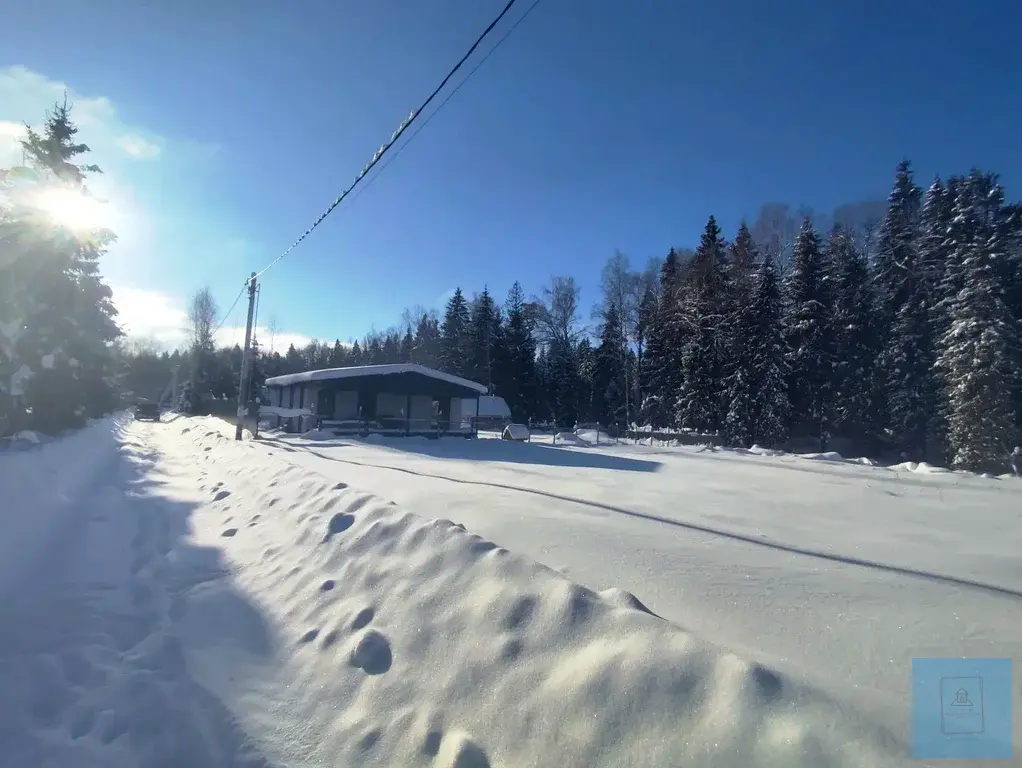 12 соток в Шапкино, СНТ Звездочка - Фото 5