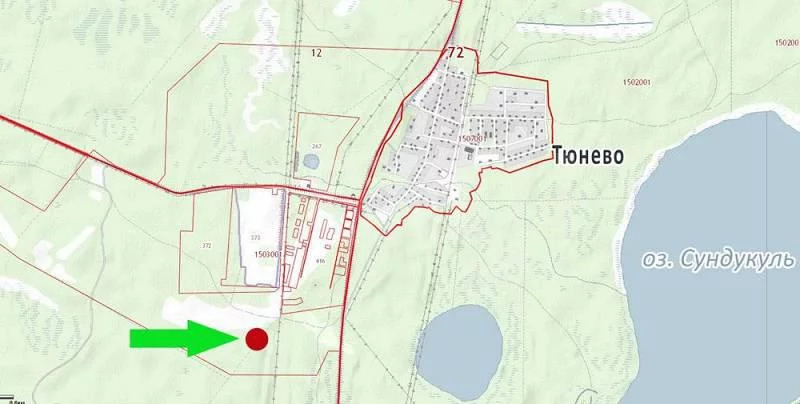 Кадастровая карта тюнево