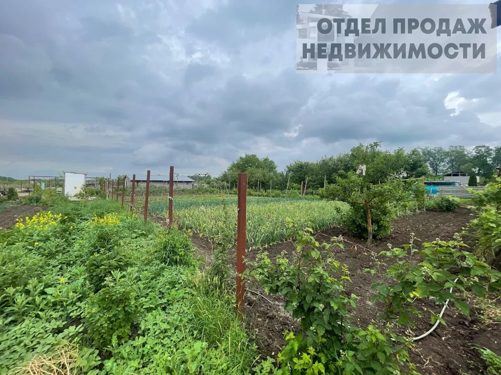 Большой дом - Фото 9