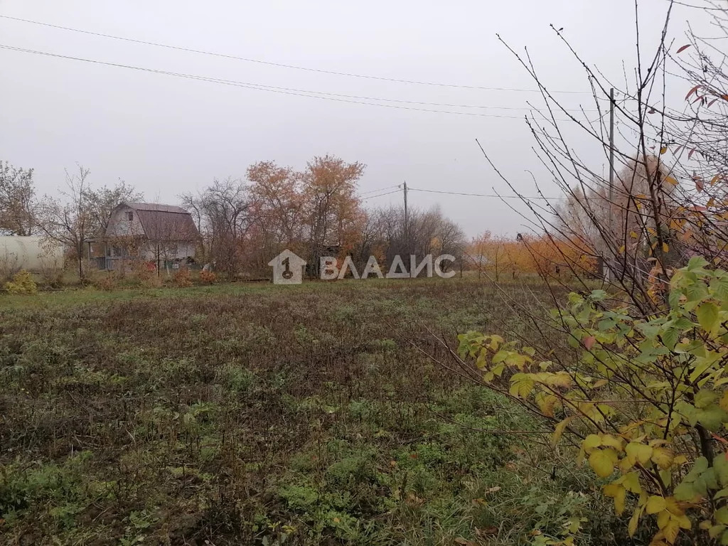 Суздальский район, село Новоалександрово, земля на продажу - Фото 0