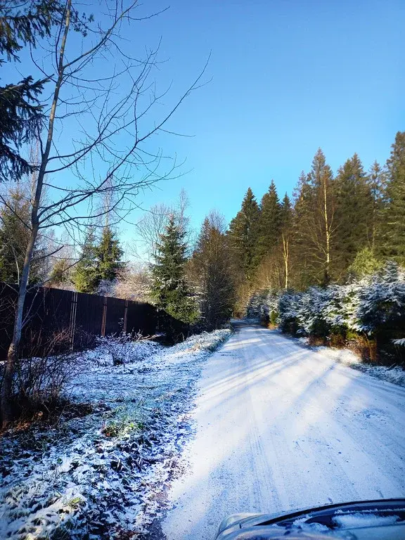 Продаю садовый участок в Шевелёво - Фото 13