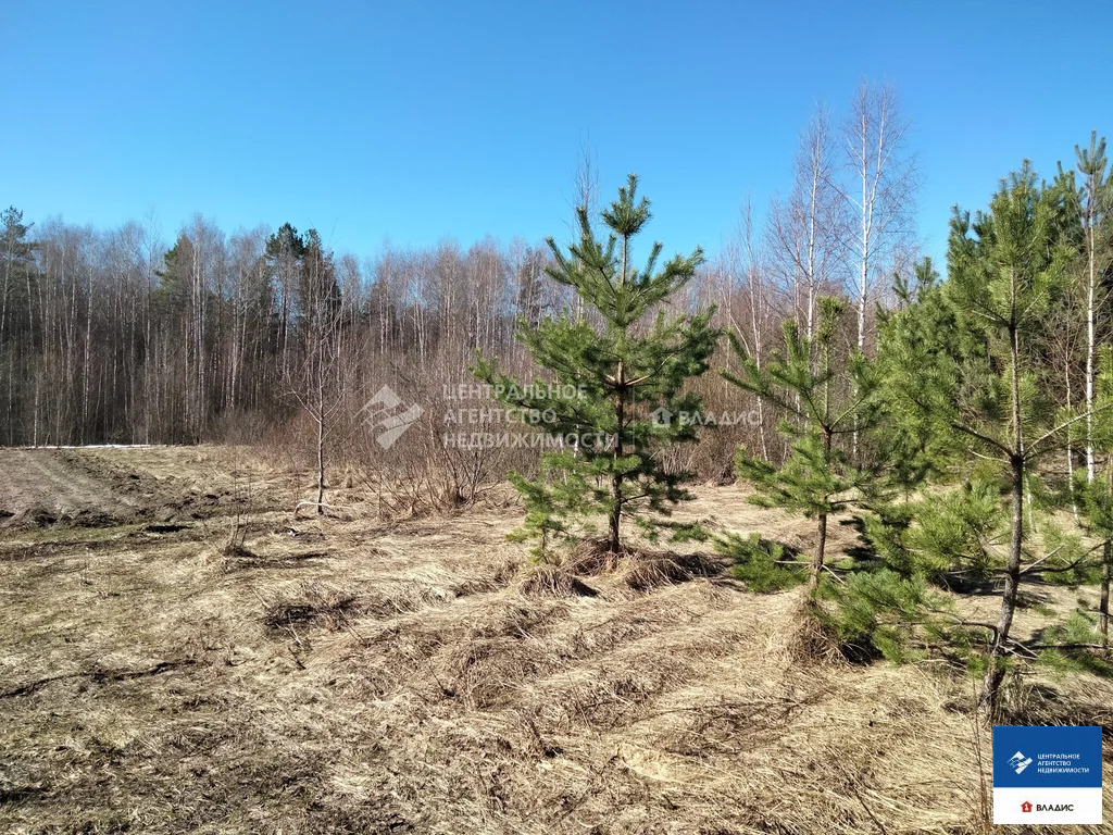 Продажа участка, Лощинино, Касимовский район, ул. Зеленая - Фото 3