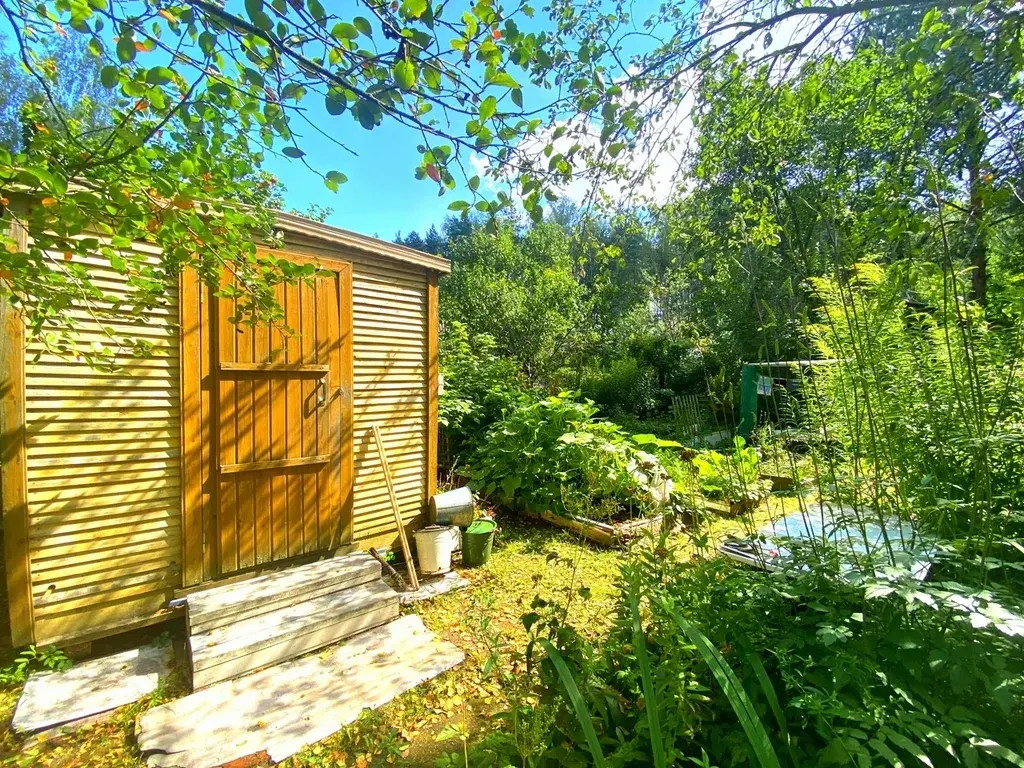Дача в СНТ Заречье - Фото 11