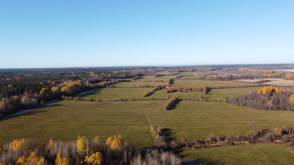 Продажа участка, Выборгский район - Фото 5