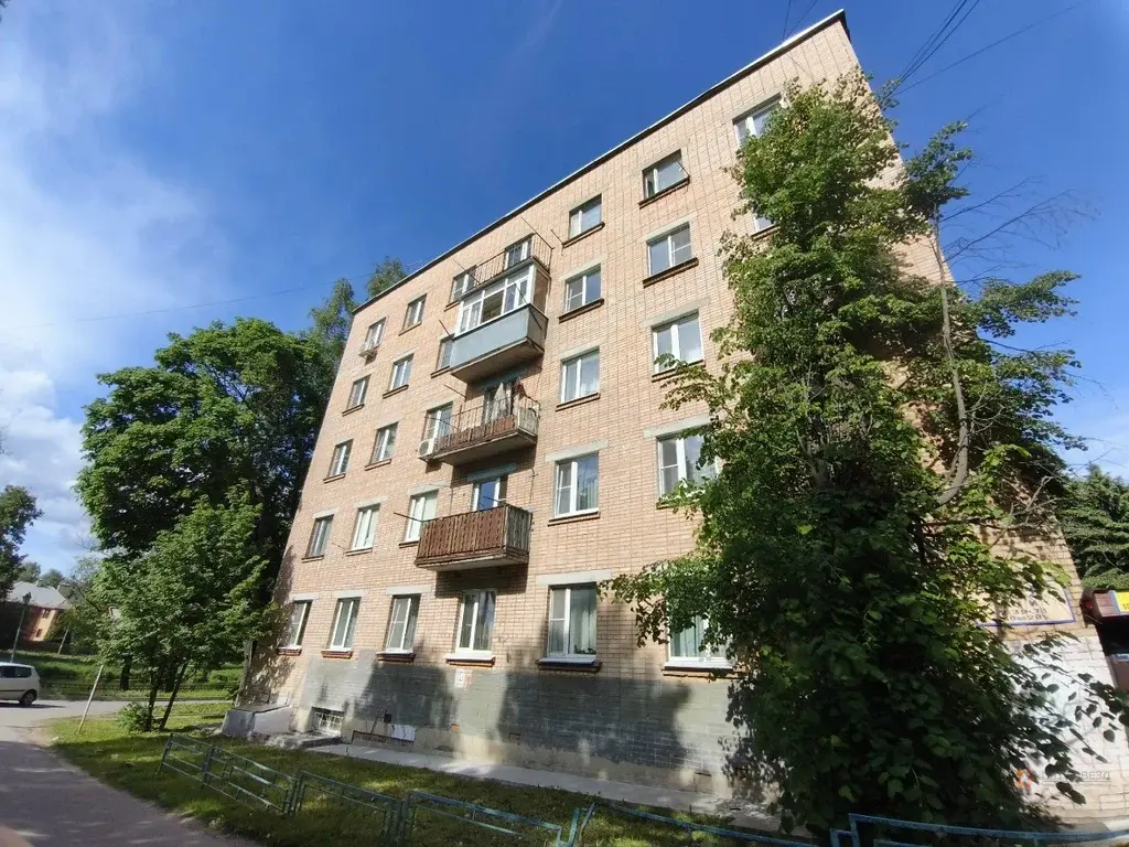 Продается 4-комнатная квартира Чехов, Набережная, д. 5 - Фото 31