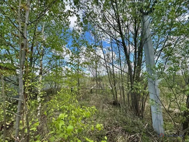 Продажа участка, Следово, Богородский г. о., Ильинская улица - Фото 4