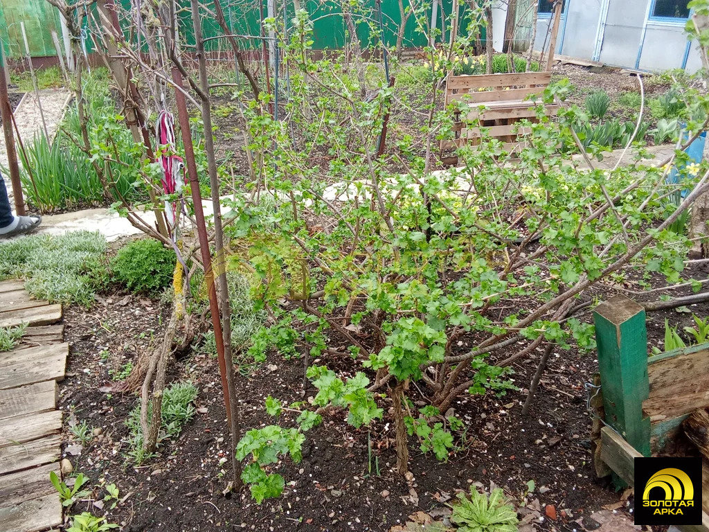 Продажа дома, Черноморский - Фото 14