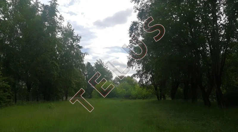 МО, Люберцы, Железнодорожная, 3977 м2, Склад и производство (ном. ... - Фото 5