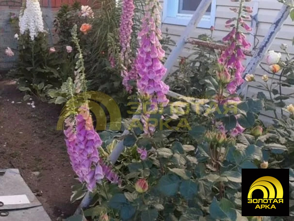Продажа дома, Темрюк, Темрюкский район, ул. Мира - Фото 9