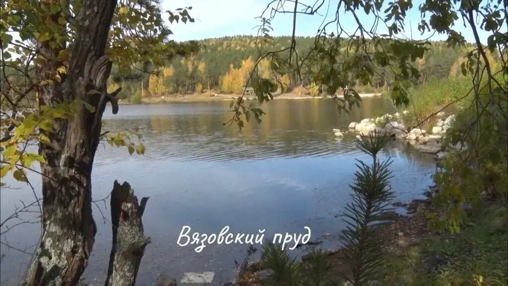 Продам земельный участок в лесной зоне г.Дегтярск - Фото 0