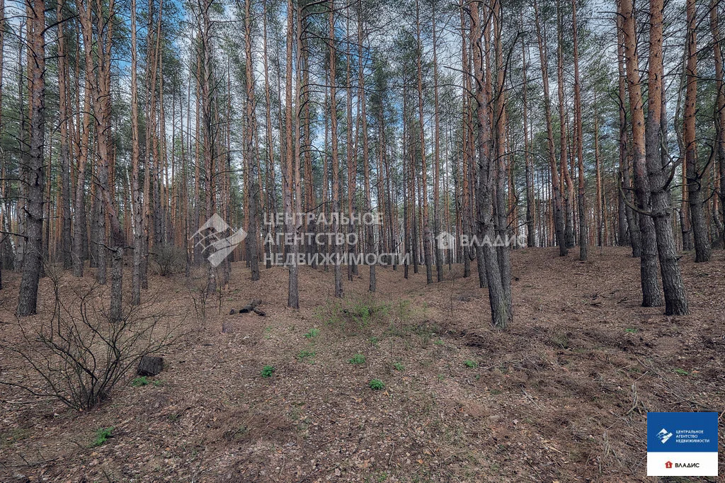 Продажа дома, Петровичи, Спасский район - Фото 32
