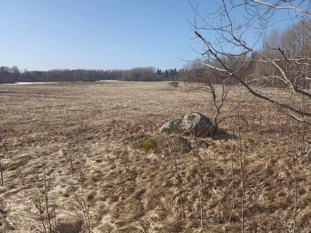 Участок в 100 м от озера Губановское - Фото 7