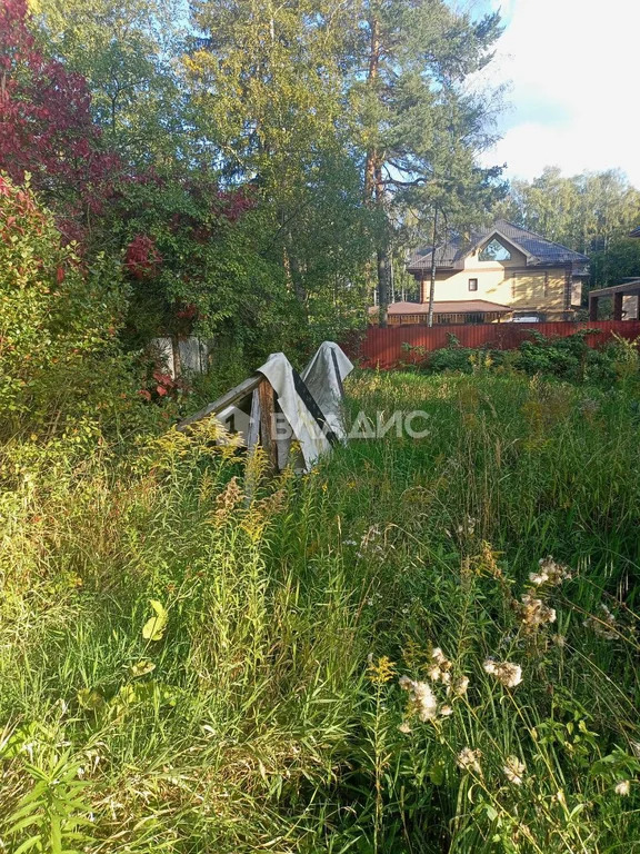 Городской округ Пушкинский, Пушкино, микрорайон Заветы Ильича, . - Фото 3