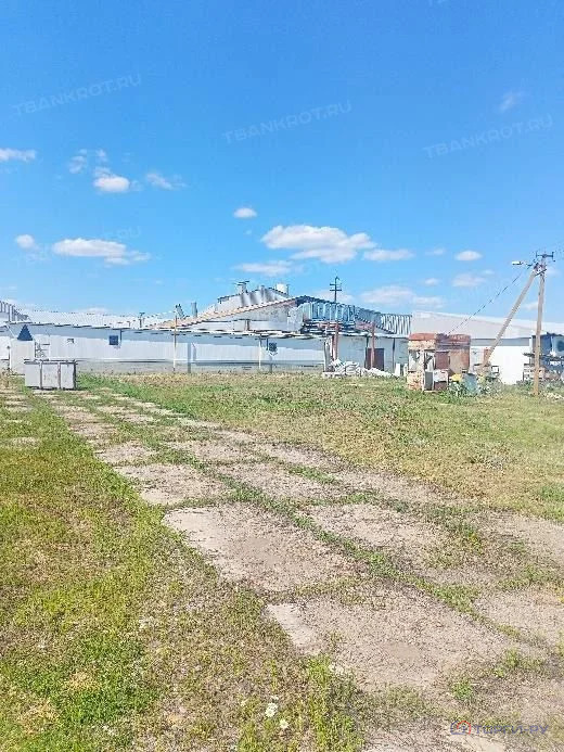 Продажа производственного помещения, Ульяновка, Борисоглебский район, ... - Фото 17