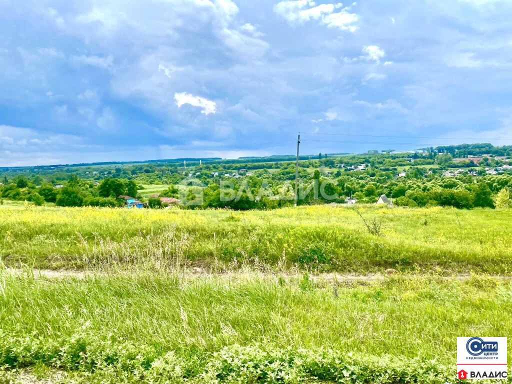 Продажа участка, Серебрянка, Семилукский район, ул. Центральная - Фото 9