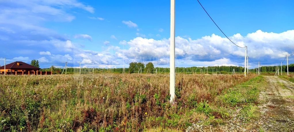 Продажа участка, Перевалово, Тюменский район, Тюменский р-н - Фото 6