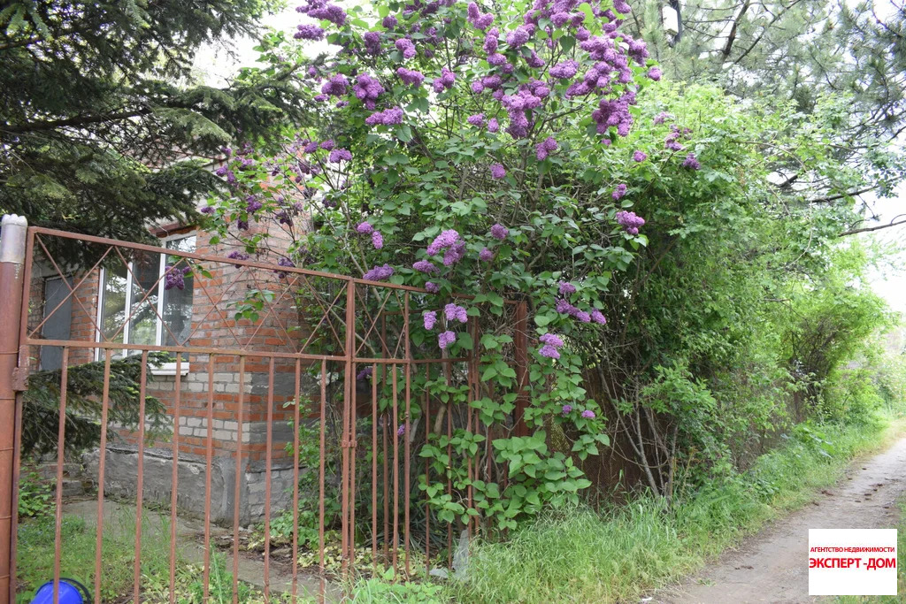 Продажа дома, Неклиновский район, Радужный пер. - Фото 3