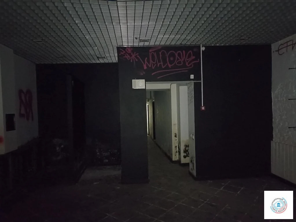 Помещение свободного назначения, 75.7 м - Фото 0