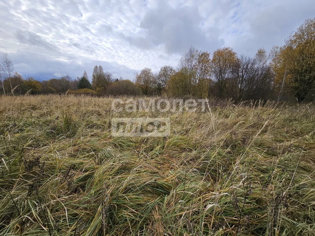 Продажа участка, Дмитров, Дмитровский район, Якоть с. - Фото 0