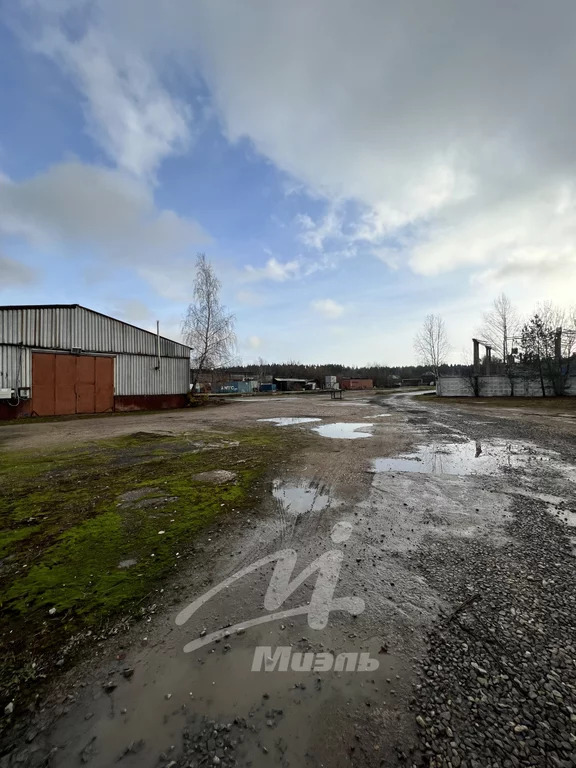 Продажа земельного участка, Малые Вяземы, Одинцовский район, ... - Фото 20