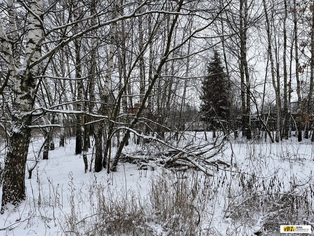 Продажа участка, Русавкино-Романово, Балашиха г. о, Дорожная улица - Фото 19