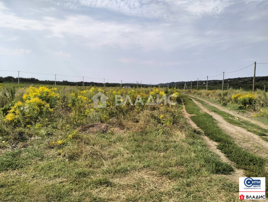 Продажа участка, Семилукский район - Фото 0