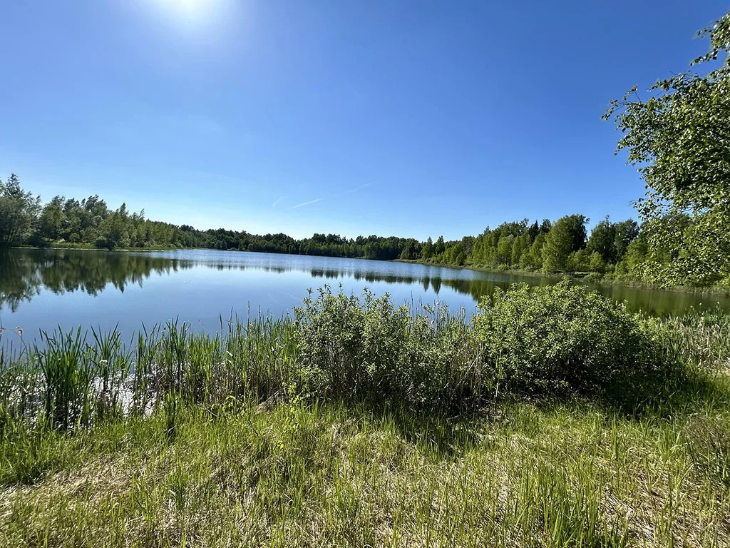 Продажа участка, Береговское, Талдомский район - Фото 8