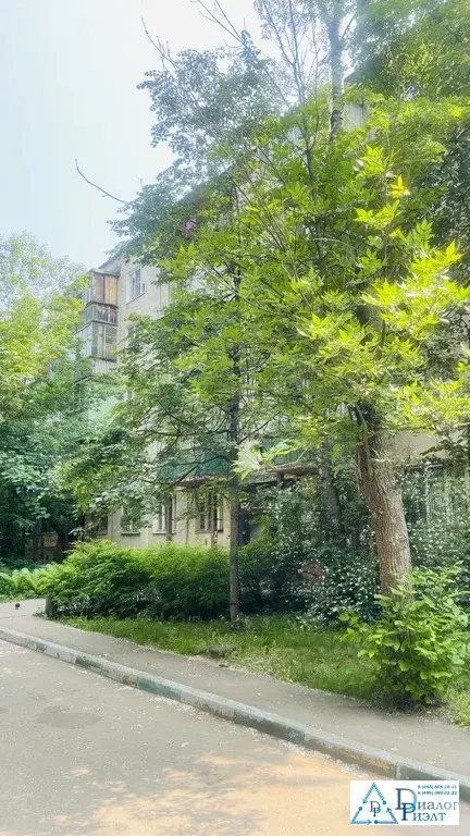 3-комн. кв. 58 м2 в 5 мин. пешком до МЦД-3 Панки - Фото 7