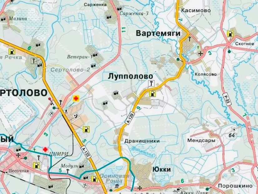 Всеволожский р н. Вартемяги Ленинградская область. Вартемяги на карте Ленинградской области. Деревня Вартемяги на карте. Лупполово на карте.