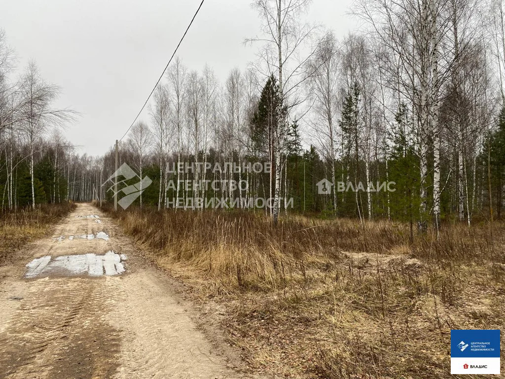 Продажа участка, Ярустово, Спасский район, ул. Лесная - Фото 12