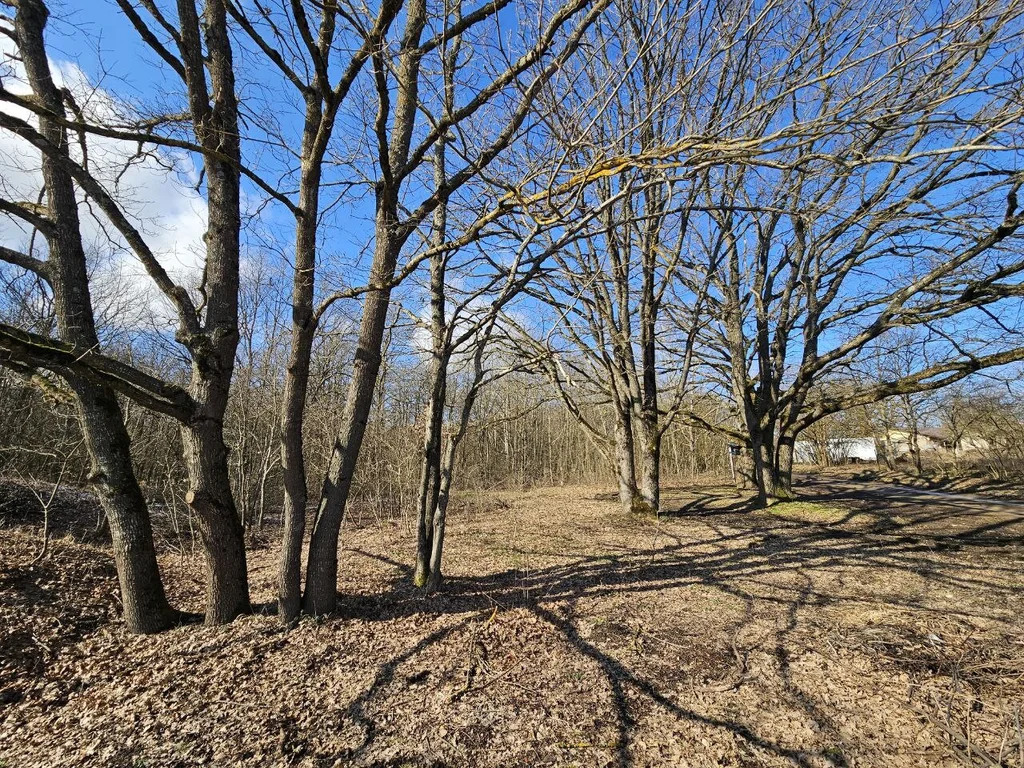 Продажа участка, Абинский район - Фото 7