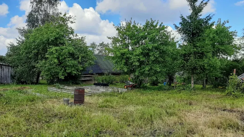 Купить Дом В Дедовичском Районе Псковской Области