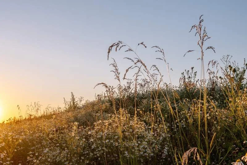 Прямая продажа от застройщика - Фото 21