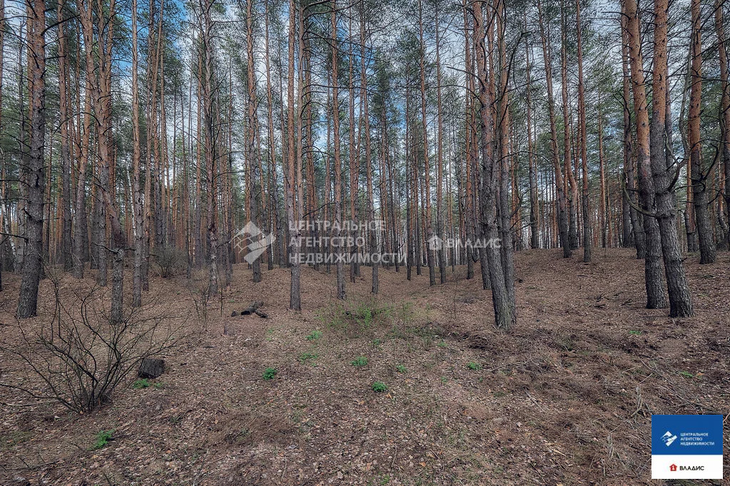 Продажа дома, Петровичи, Спасский район - Фото 32