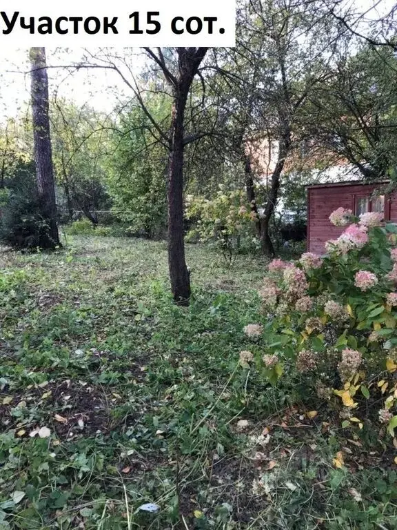 Продажа участка 15.0 сот. ул. Фурманова, 19, Мытищи, Московская ... - Фото 9
