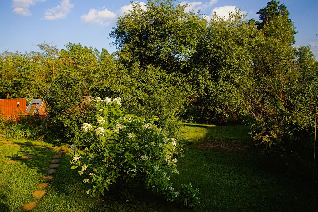Продажа участка, Загорянский, Щелковский район, улица Николая Озерова - Фото 6