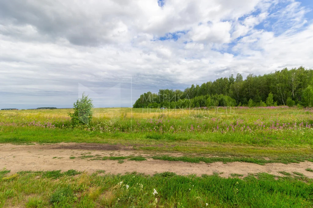 Продажа земельного участка, Тюменский район, Тюменский р-н - Фото 4