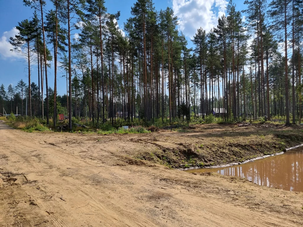 Купить Участок В Сосновом Лесу Ленинградской Области