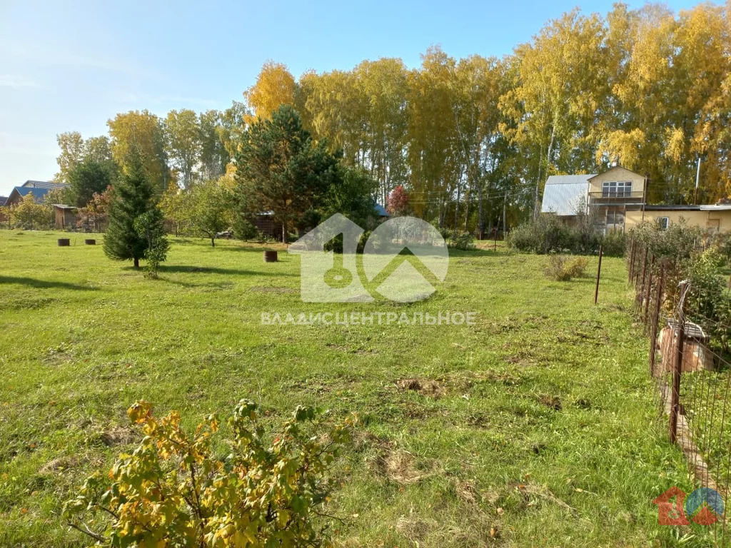 Новосибирский район, садовое товарищество Шафран,  земля на продажу - Фото 0