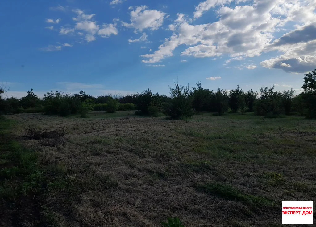 Продажа дома, Никольское, Неклиновский район, ул. Центральная - Фото 18