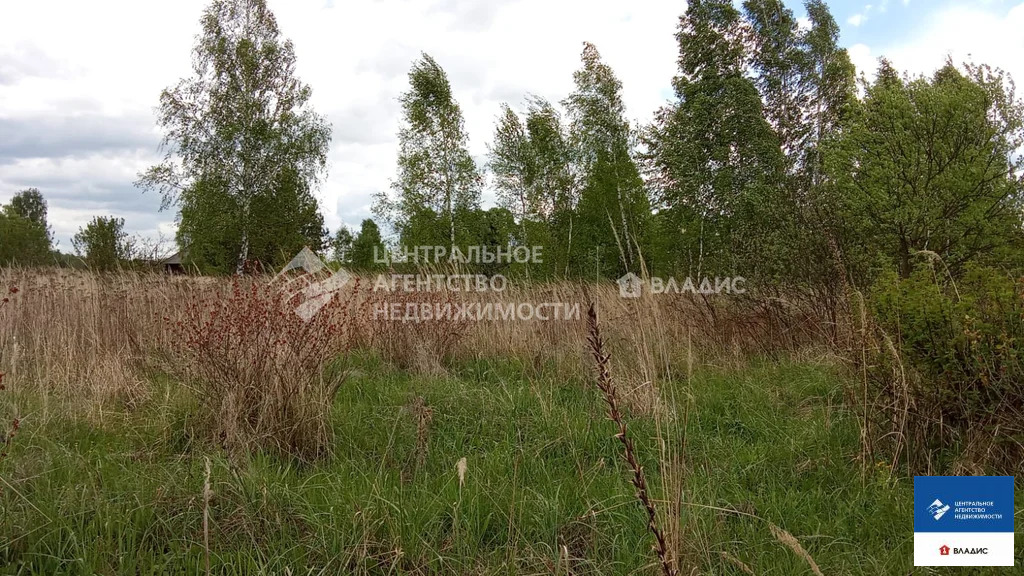 Продажа дома, Велье-Родионовка, Спасский район - Фото 37