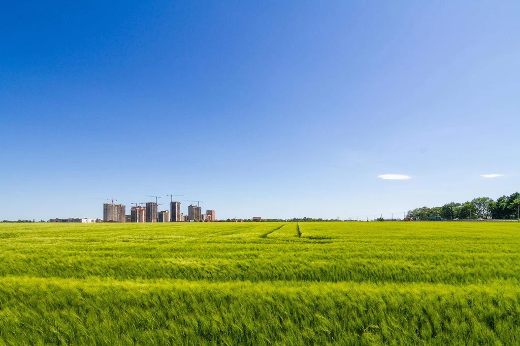 Продается земельный участок 1961 сот. - Фото 7