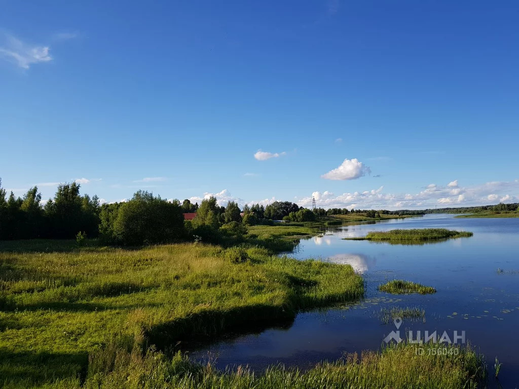 Селище кимрский район фото