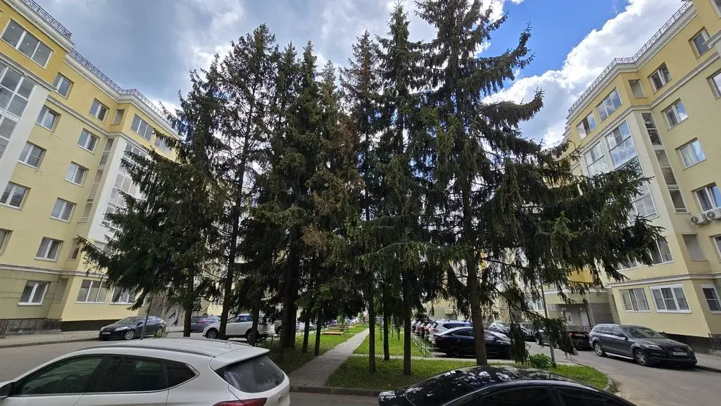 Продается помещение 282 м2 в центре Звенигорода - Фото 12