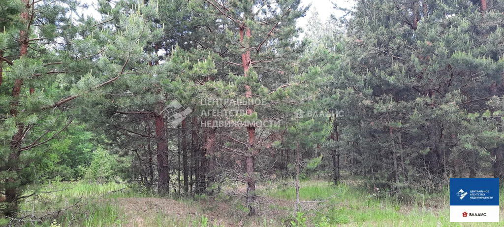 Продажа участка, Сумбулово, Спасский район - Фото 2
