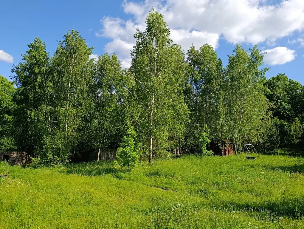 Продажа участка, Павловское, Домодедово г. о., Зернистая улица - Фото 10