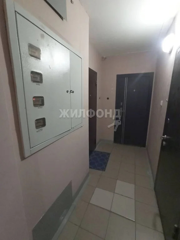 Продажа квартиры, Новосибирск, Виктора Уса - Фото 12