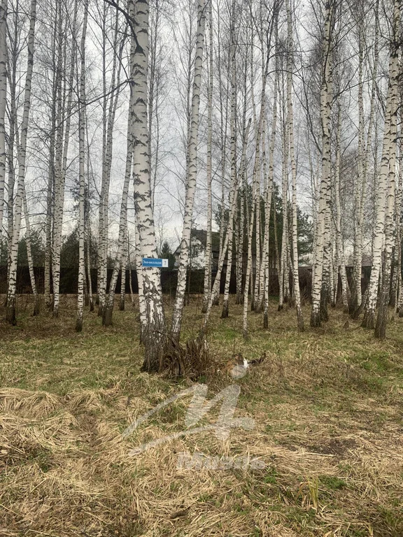 Продажа участка, Новая, Солнечногорский район - Фото 4